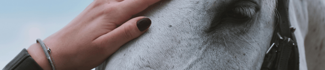 MUST Have Dress Jewelry for The Grand National Event ! - KHAISTA