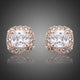 Austrian Crystal Rectangle Stud Earrings