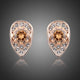 Champagne Cubic Zirconia Stud Earrings
