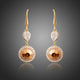 Champagne Round Crystal Drop Earrings