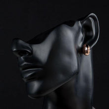 Load image into Gallery viewer, Egg Shaped Stud Earrings - KHAISTA Fashion Jewellery
