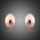 Egg Shape Crystal Stud Earrings