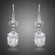 Heart Design Oval Crystal Drop Earrings
