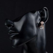 Load image into Gallery viewer, Round Cubic Zirconia &amp; Rhinestone Drop Earrings - KHAISTA Fashion Jewellery
